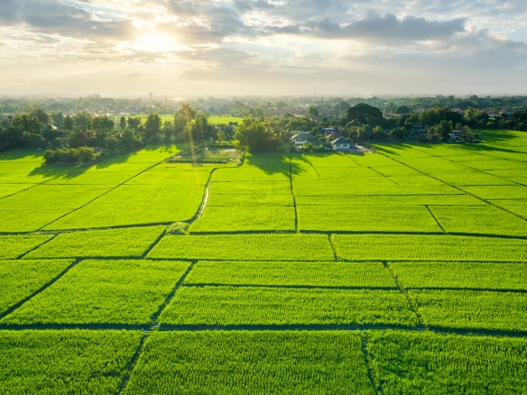 Arazi Yatırımıyla Geleceğe Güvenle Bakmak