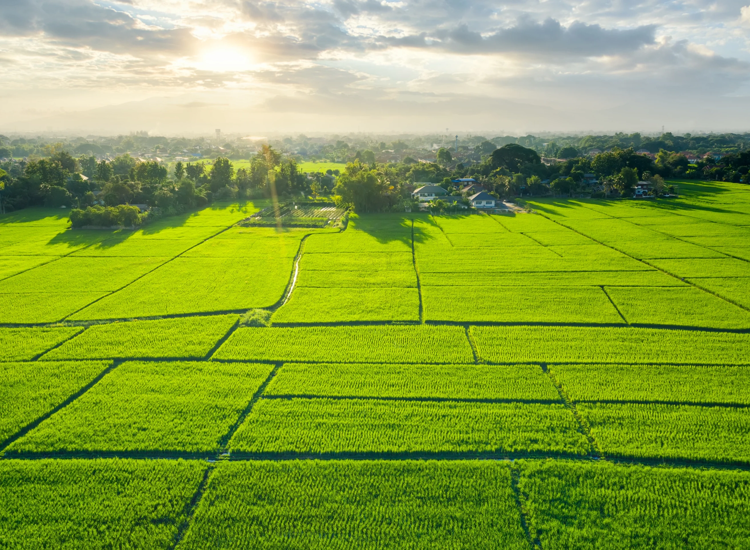Arazi Yatırımıyla Geleceğe Güvenle Bakmak